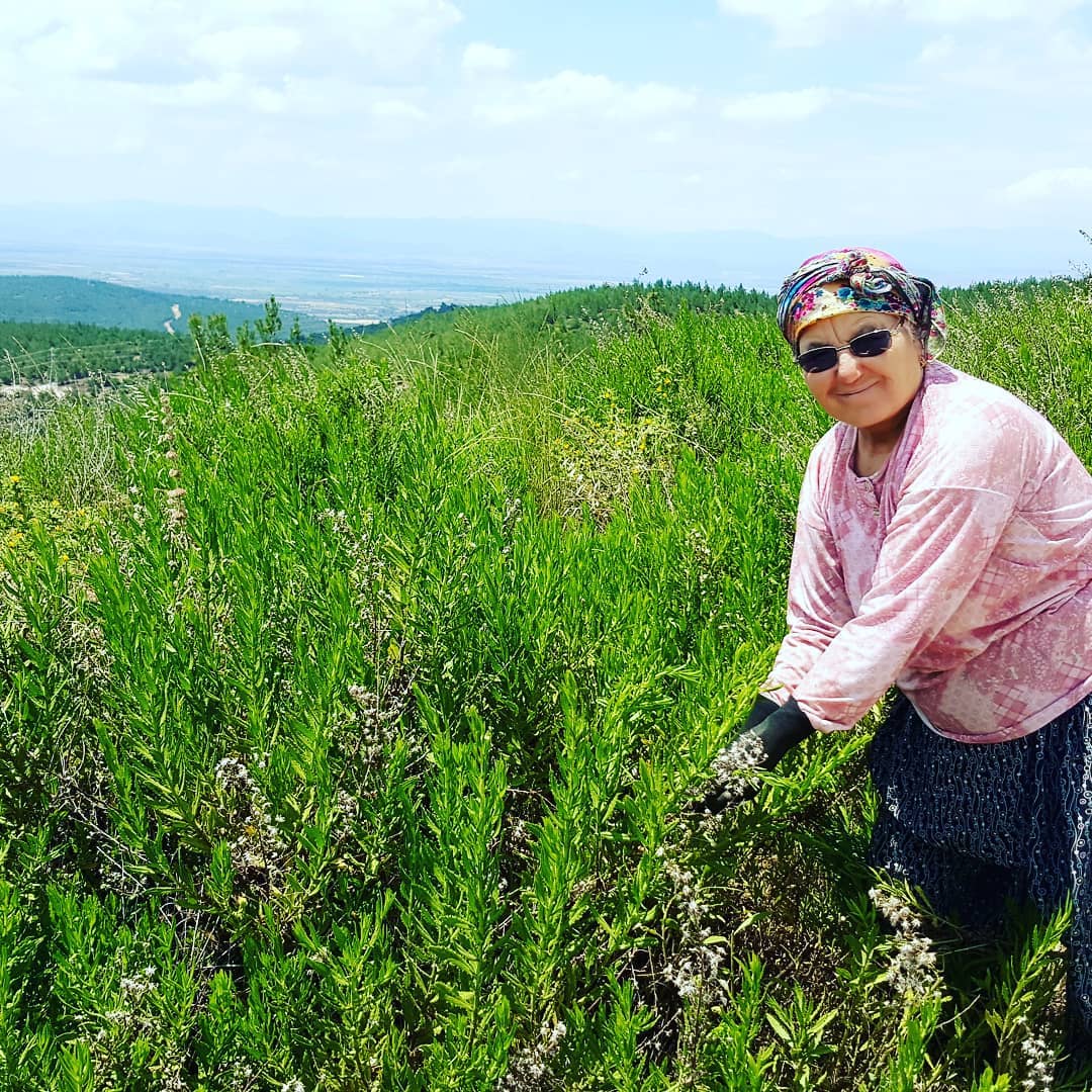 35634027_10156468219010682_2709276494282096640_n