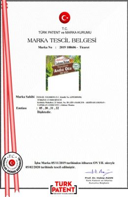Marka Tescil Belgesi